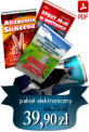 Ebook: BLUE HORSE: Zasmakuj energii sukcesu!